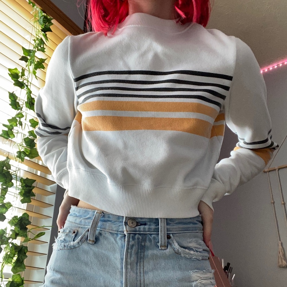 Hollister Cropped Sweater